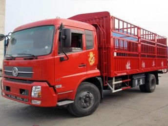 圖 青島到樂(lè)山物流公司 城陽(yáng)區(qū)鼎盛泰貨運(yùn)部 青島物流